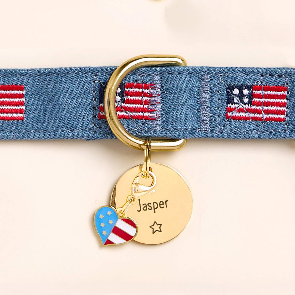Circle Pet ID Tag: Star Icon