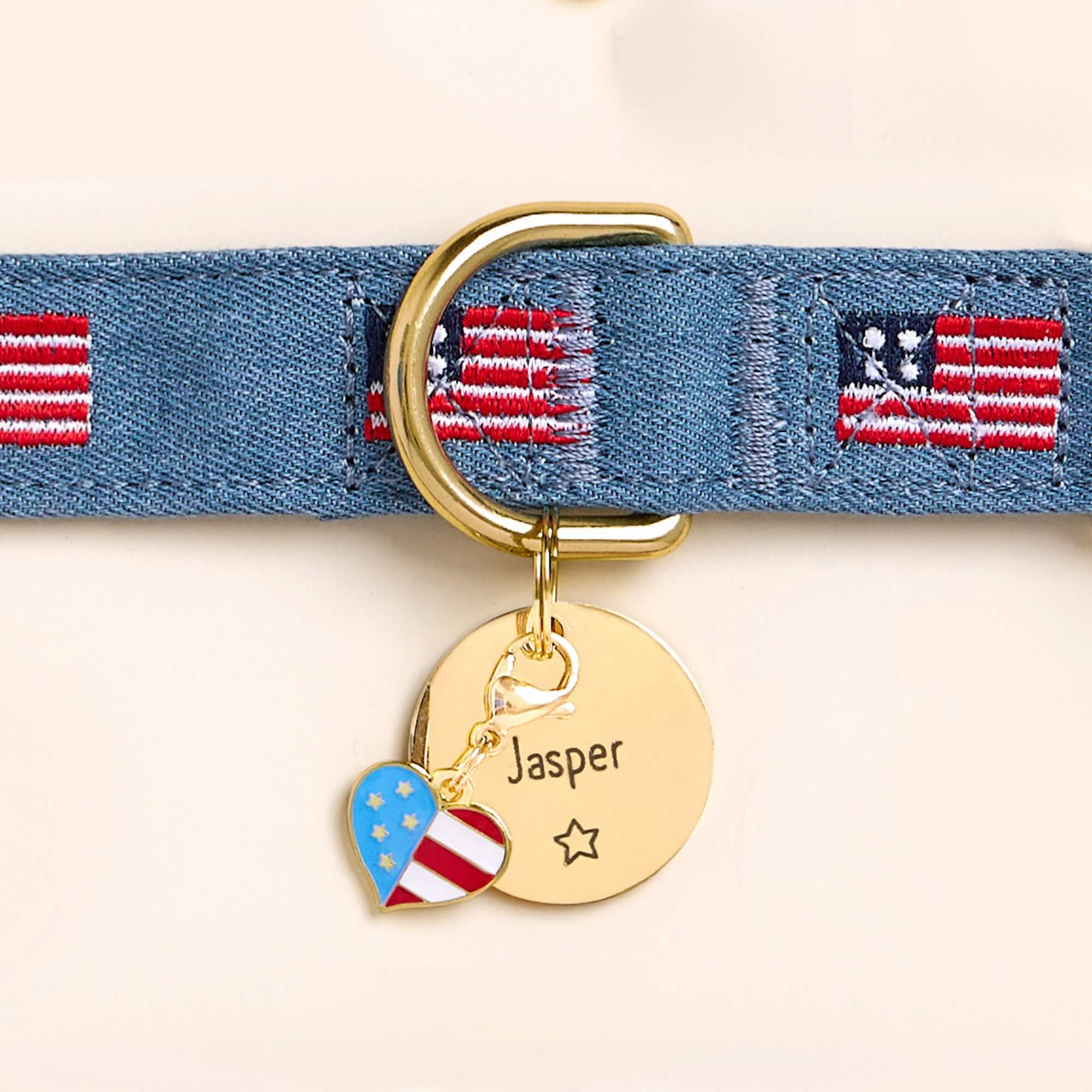 Circle Pet ID Tag: Star Icon