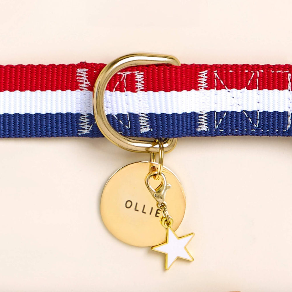 Circle Pet ID Tag