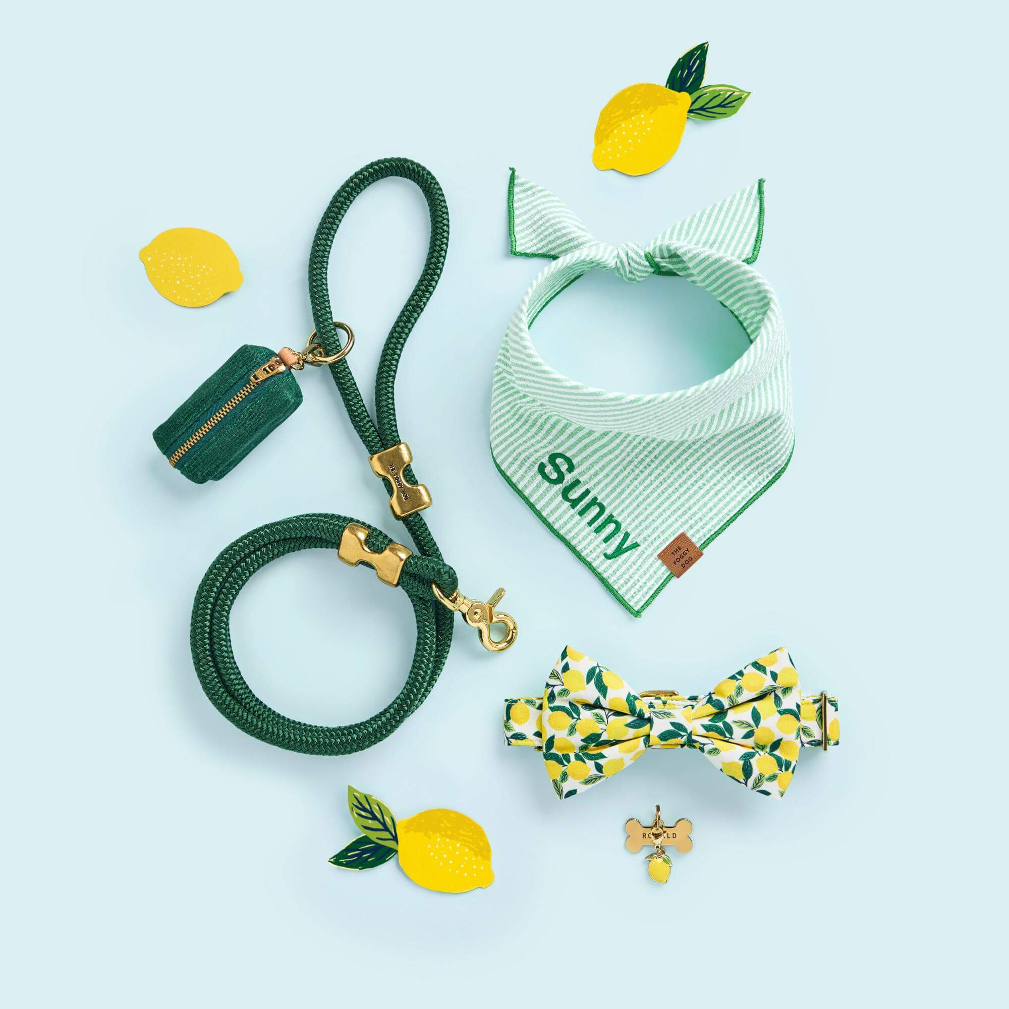 Bone Pet ID Tag