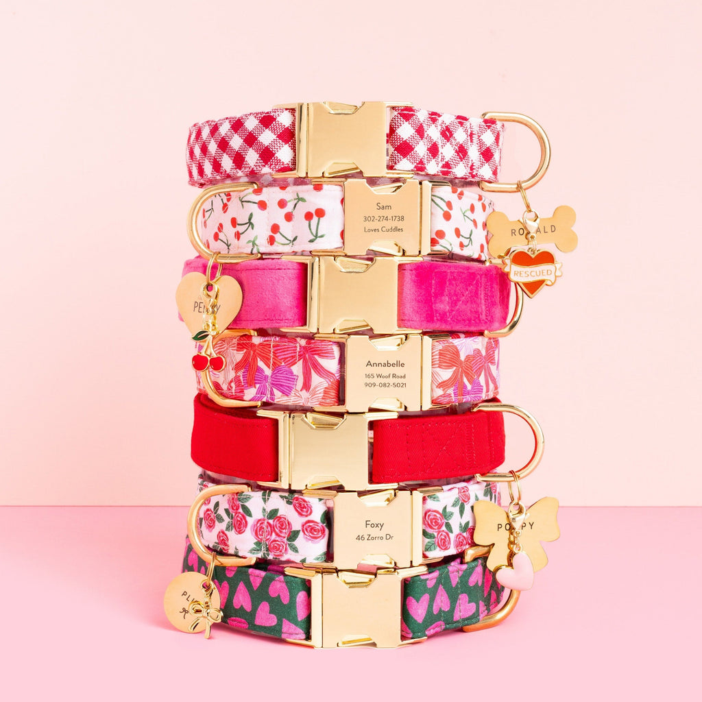 Hot Pink Velvet Dog Collar