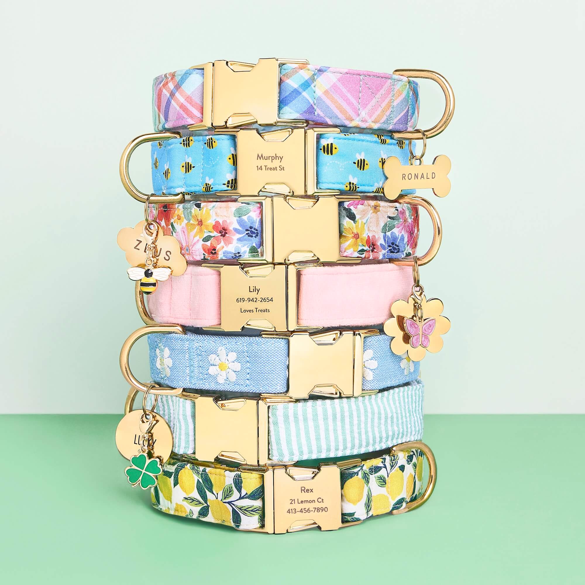 Blush Pink Velvet Dog Collar