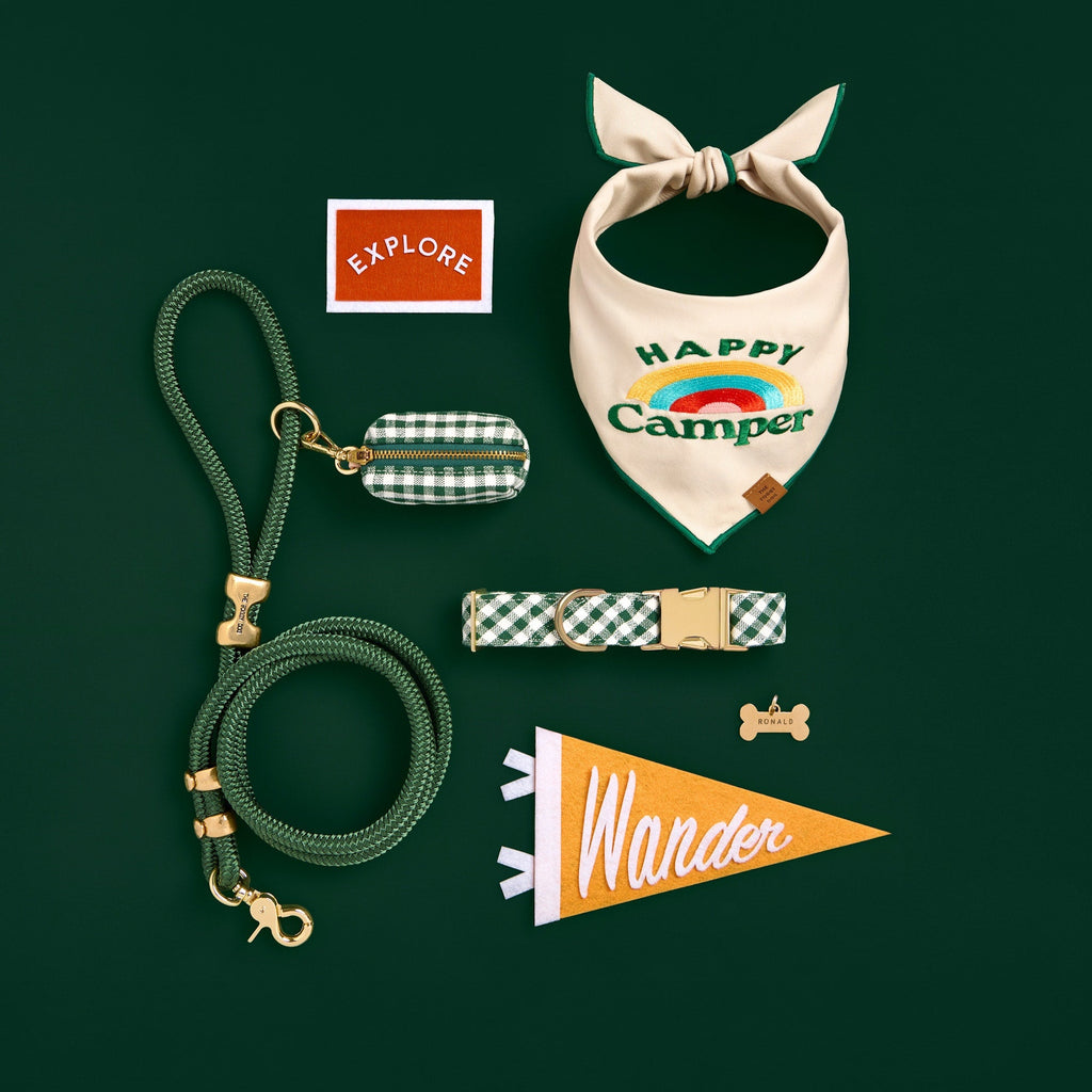 Evergreen Gingham Collar Walk Set