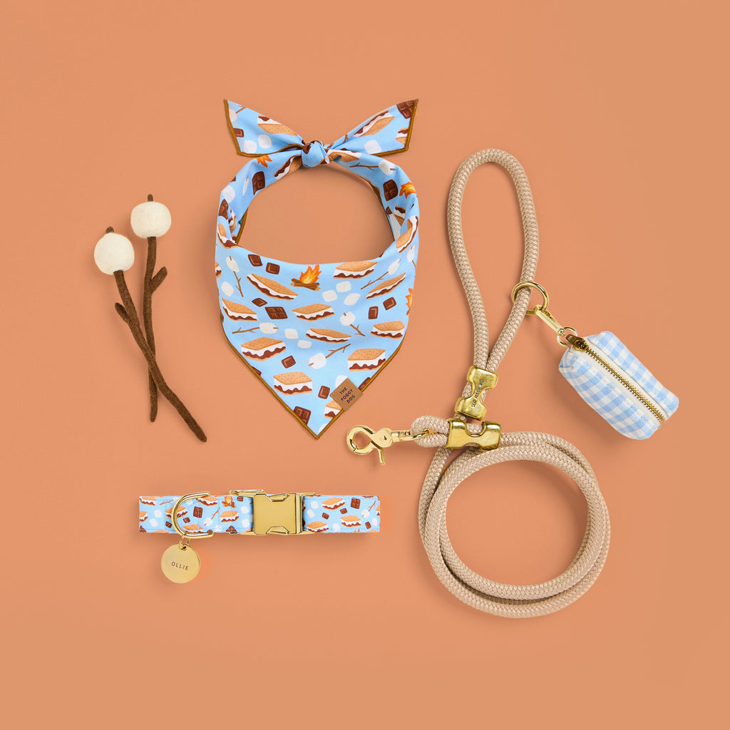 Circle Pet ID Tag