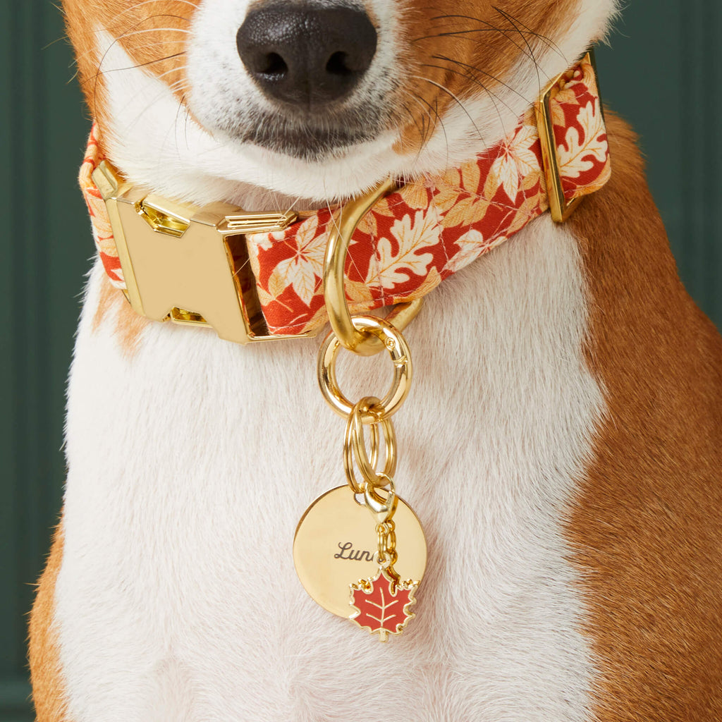 Circle Pet ID Tag