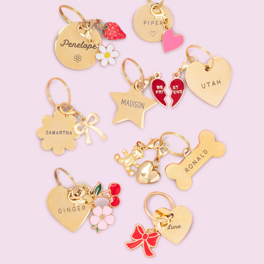 Bone Pet ID Tag