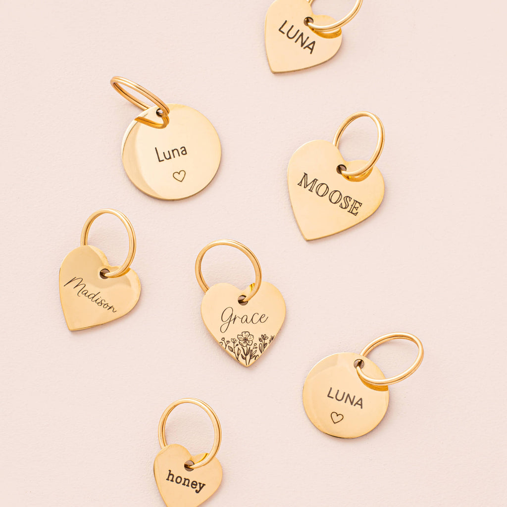 Heart Pet ID Tag