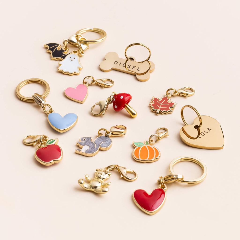 Bone Pet ID Tag