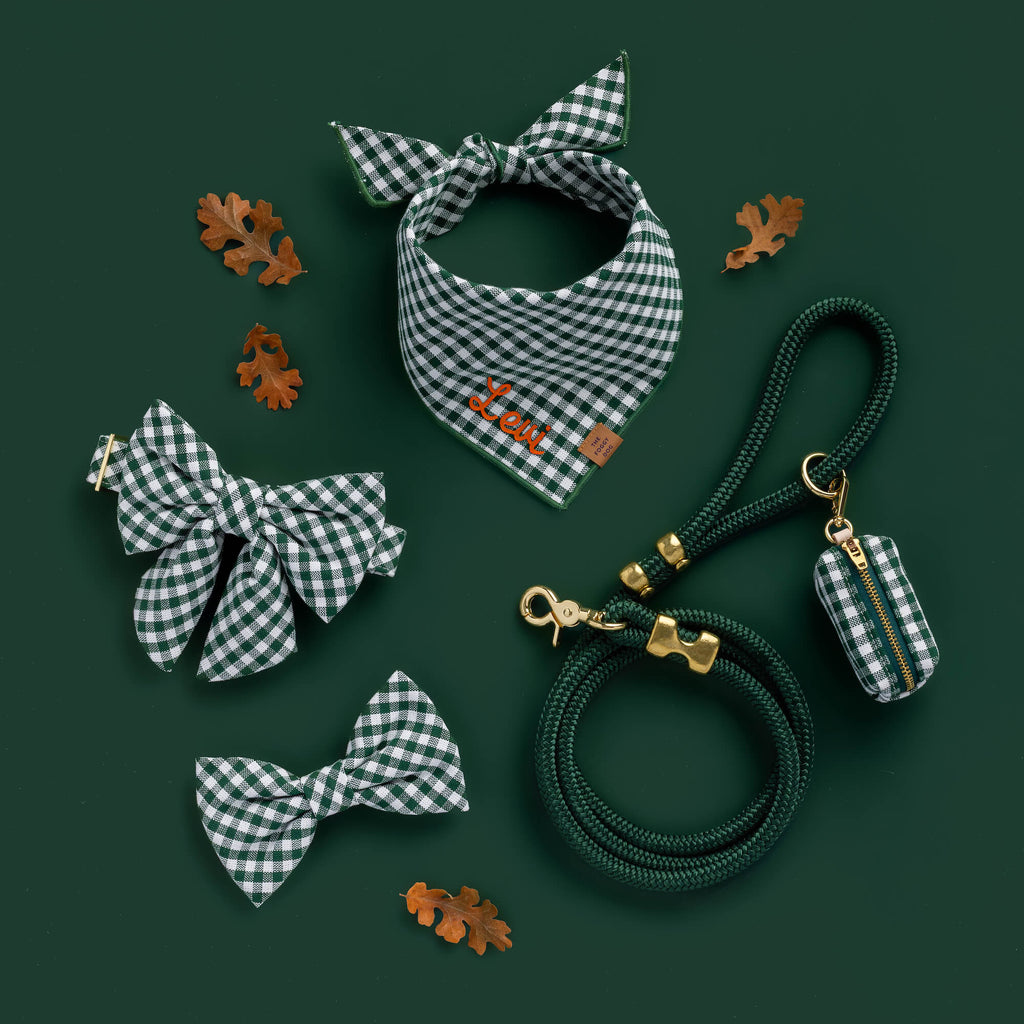 Evergreen Gingham Collar Walk Set