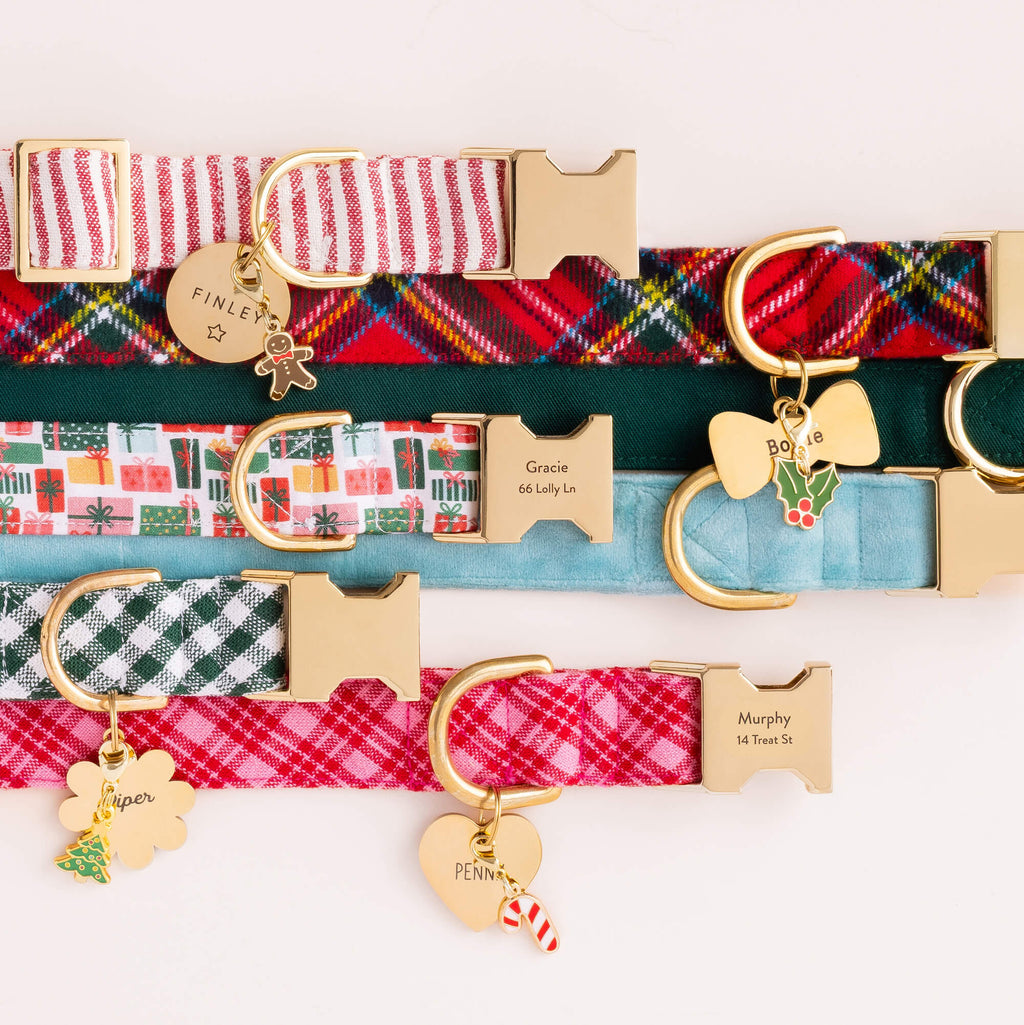 Circle Pet ID Tag: Star Icon