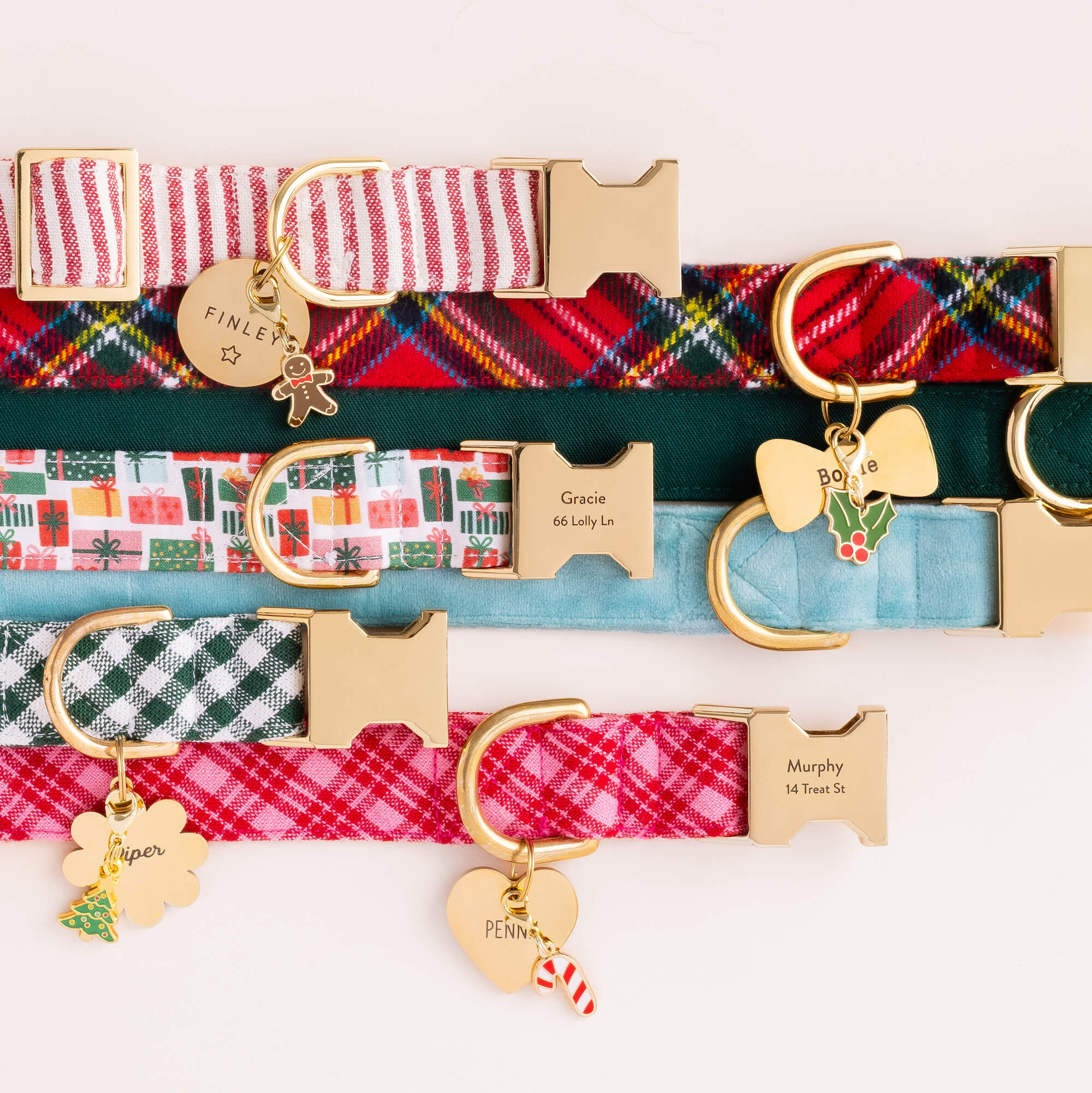 Circle Pet ID Tag: Star Icon