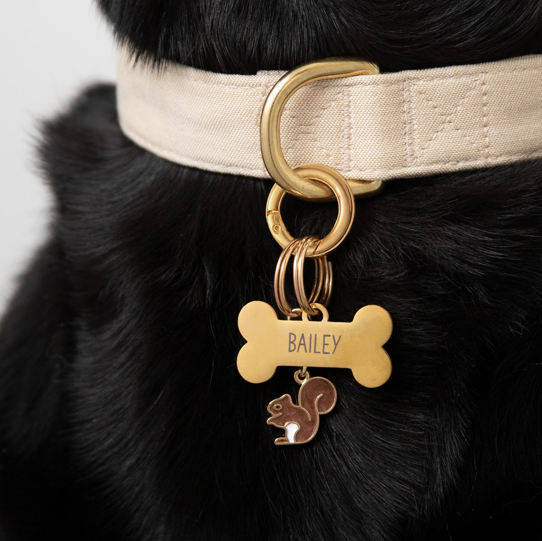 Bone Pet ID Tag