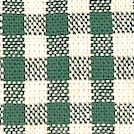 Evergreen Gingham Collar Walk Set