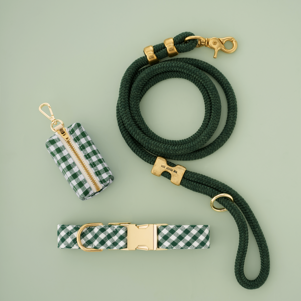 Evergreen Gingham Collar Walk Set