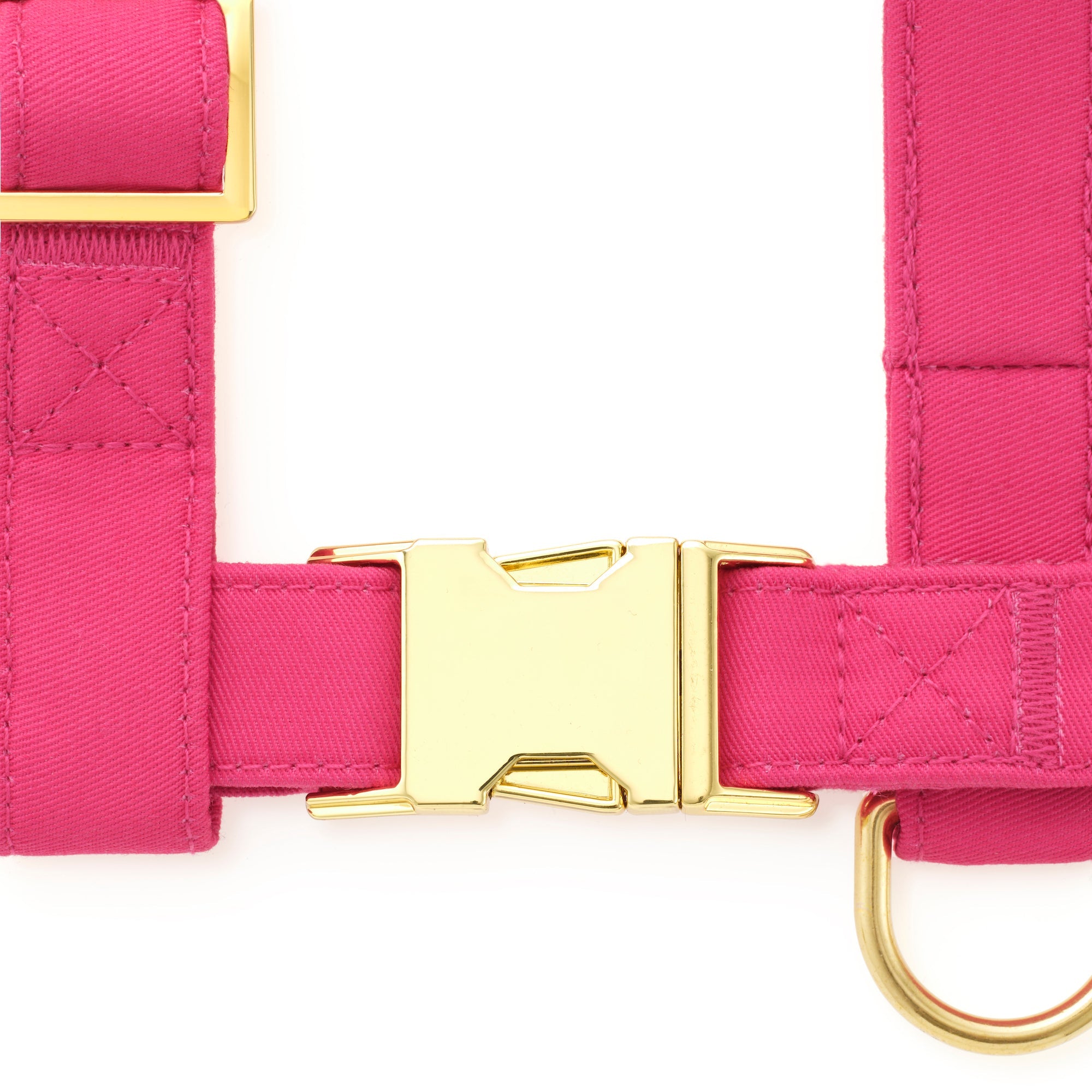 Hot Pink Harness Walk Set