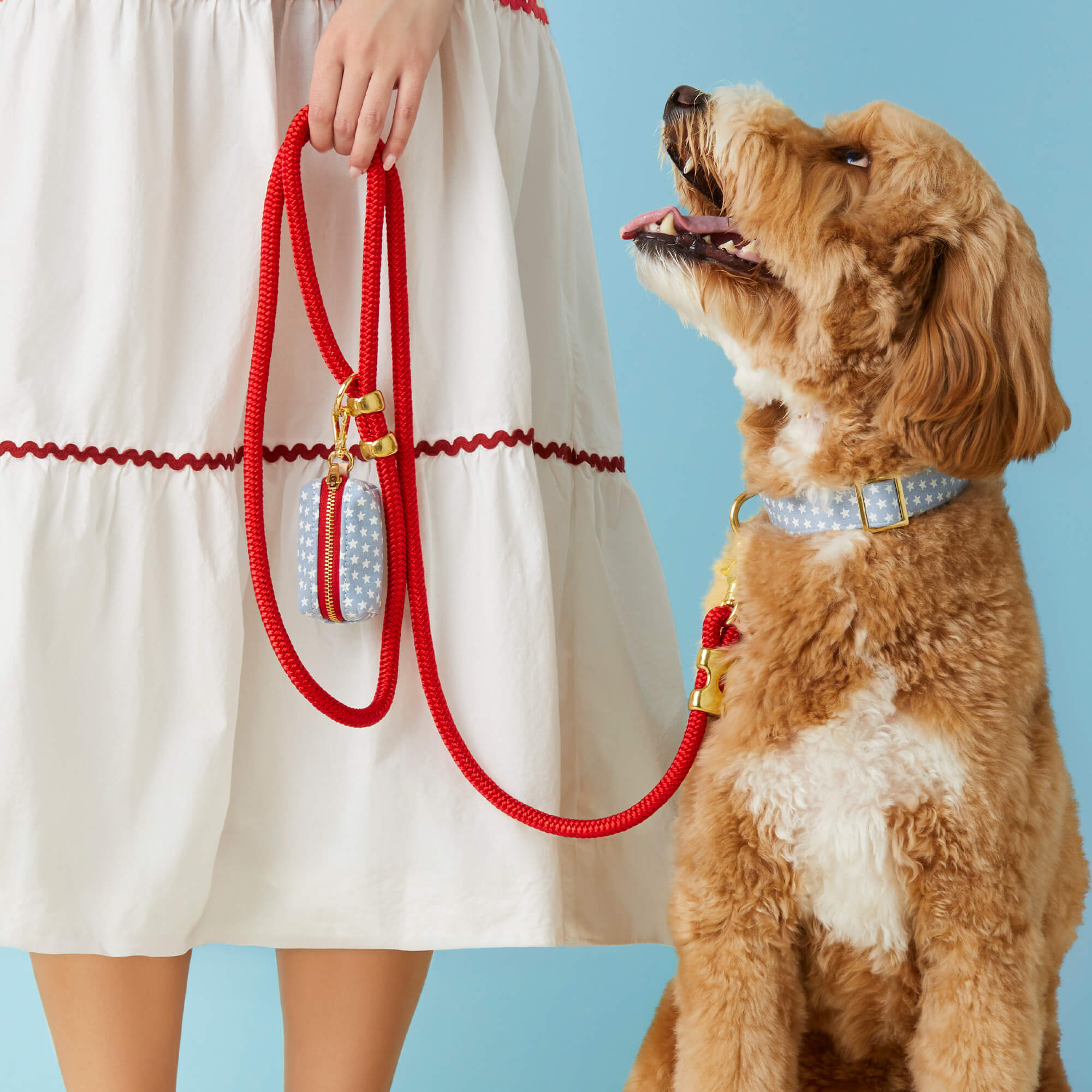 Liberty Dog Collar
