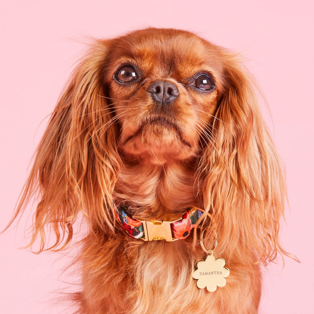 Flower Pet ID Tag