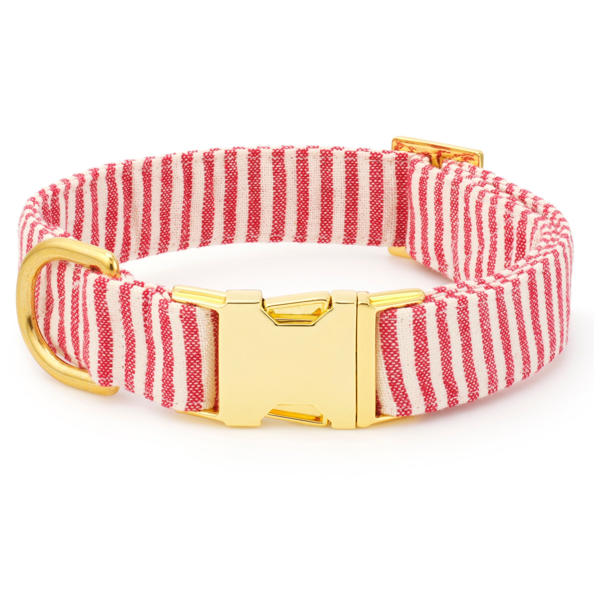 Red Stripe Collar Walk Set