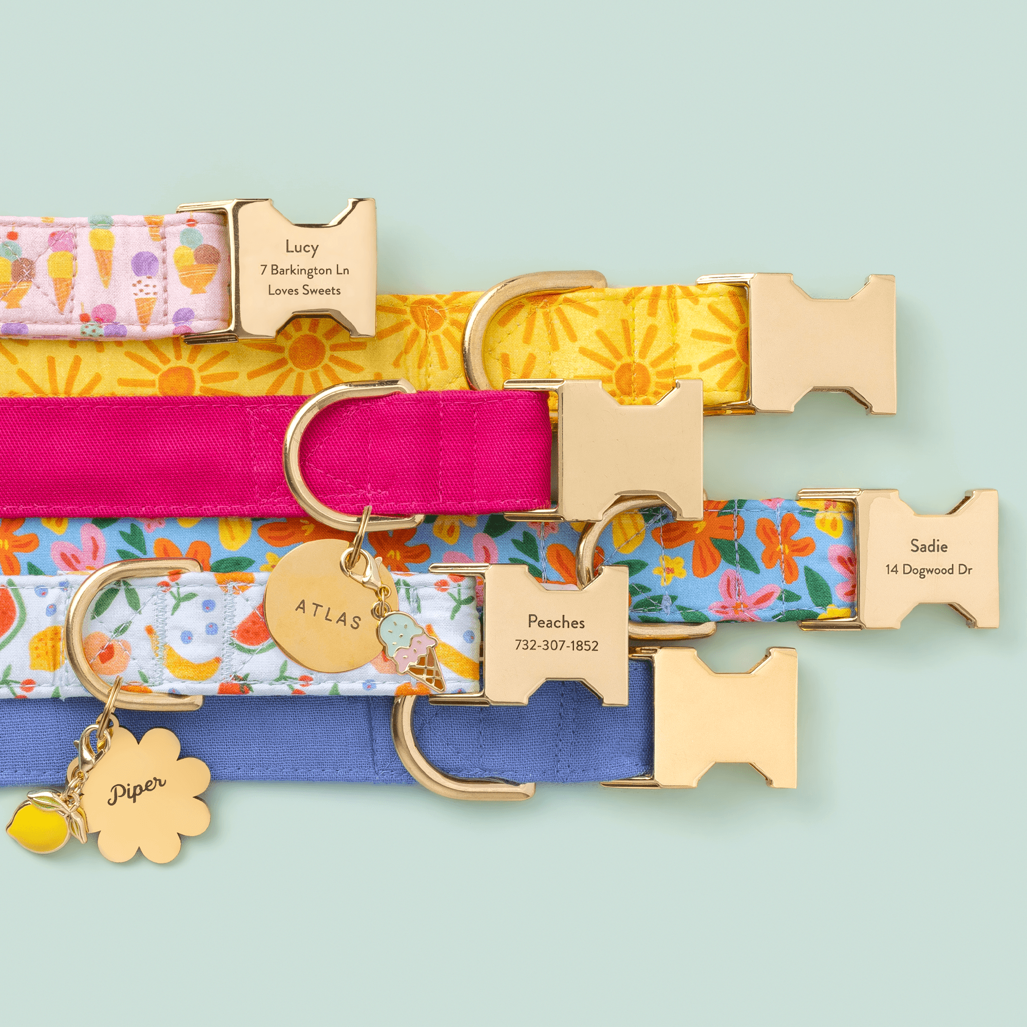 Hot Pink Dog Collar