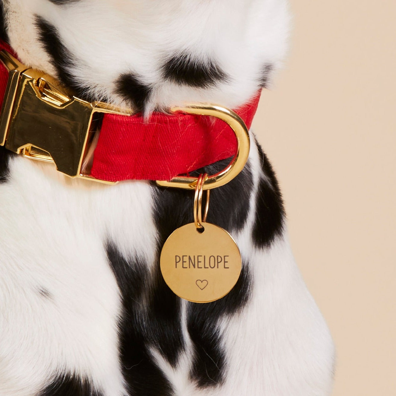 Circle Pet ID Tag: Heart Icon