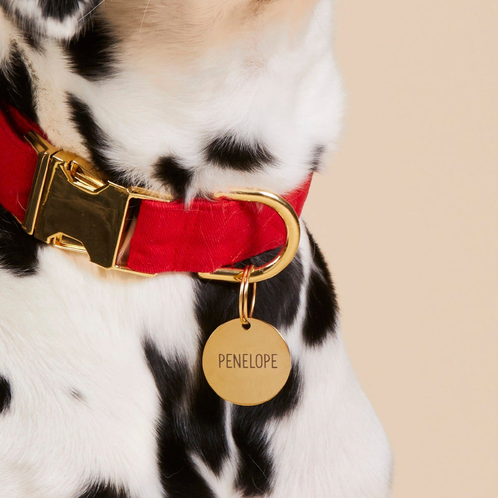 Circle Pet ID Tag