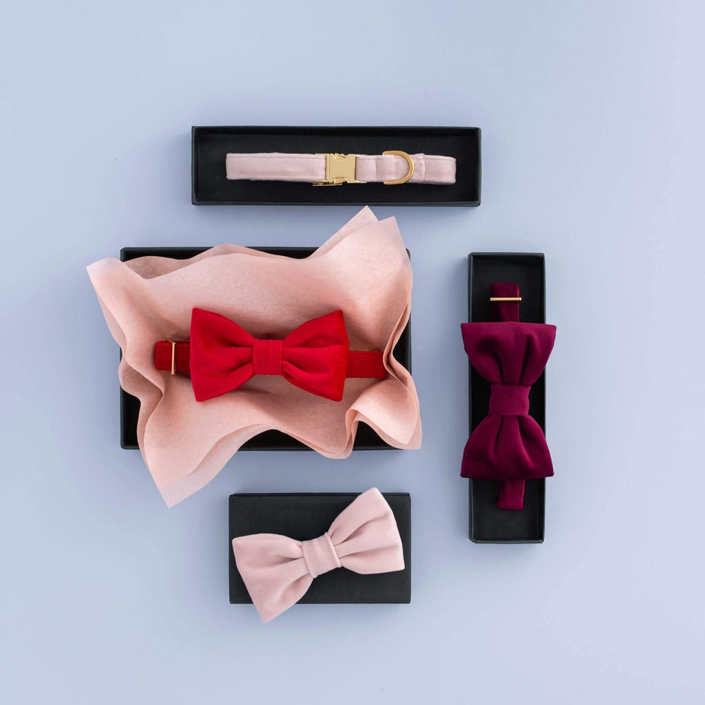 Blush Pink Velvet Dog Collar