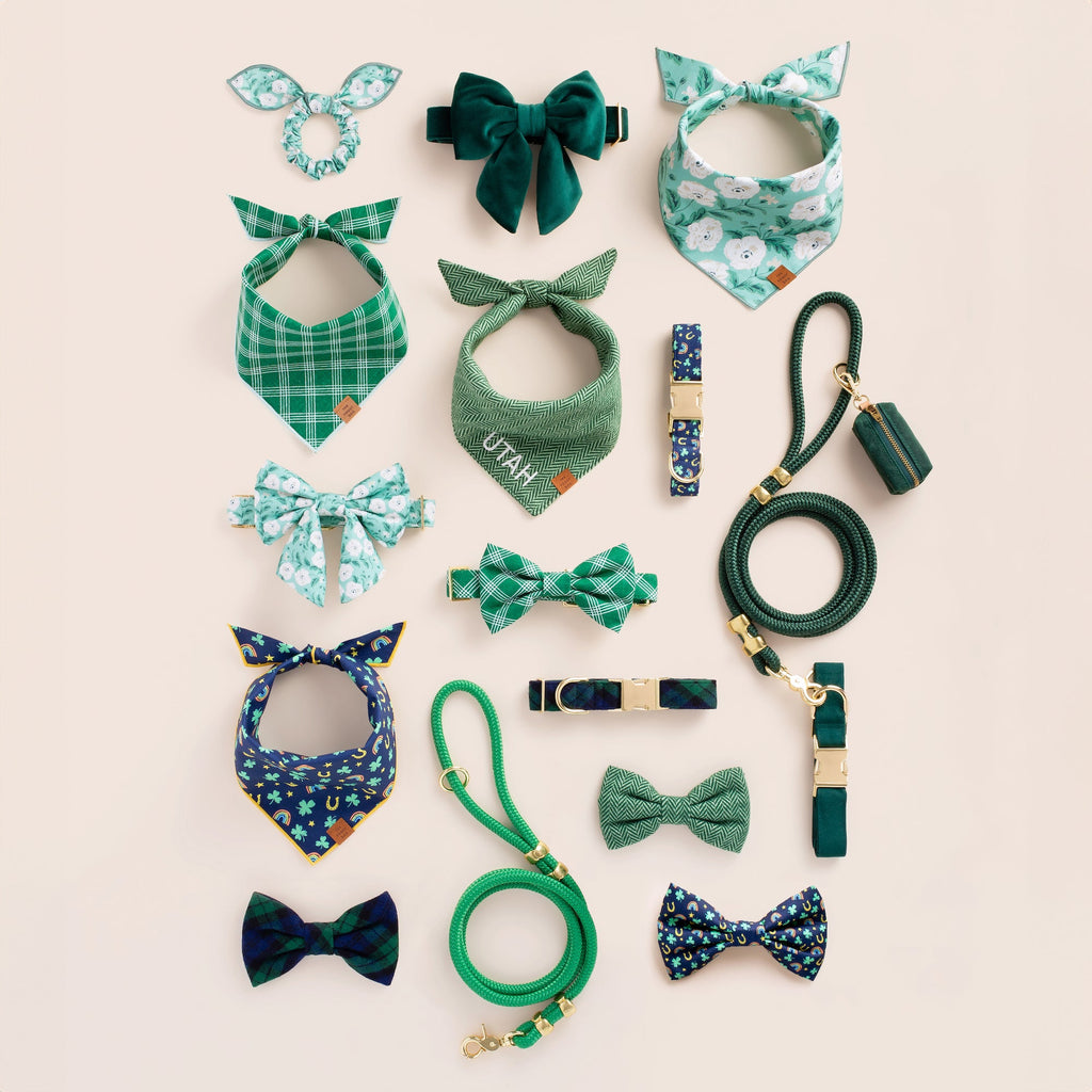 Evergreen Dog Collar
