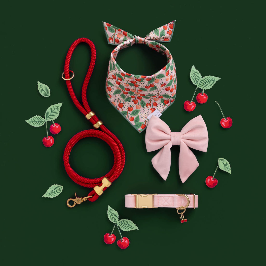 Blush Pink Velvet Dog Collar