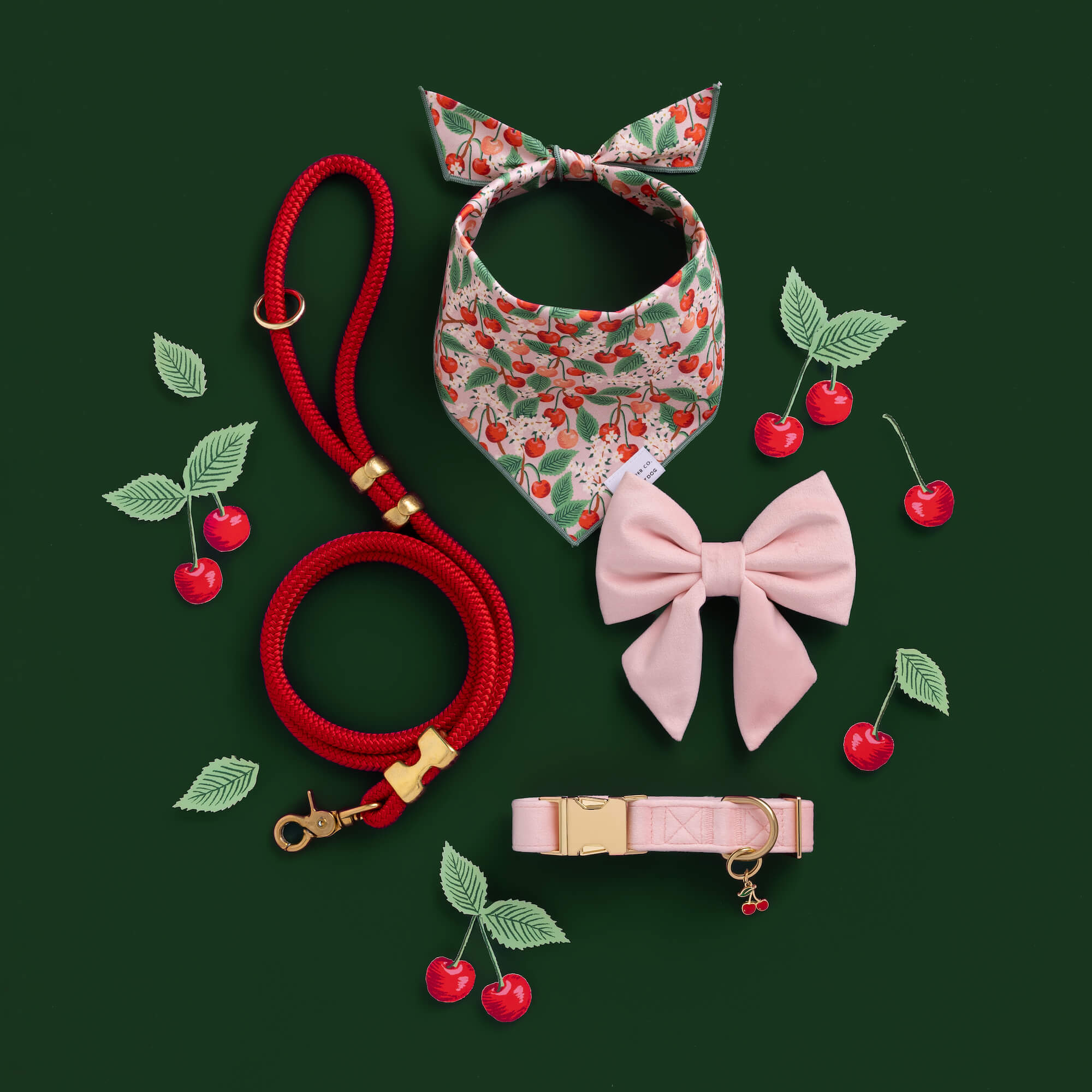 Blush Pink Velvet Dog Collar