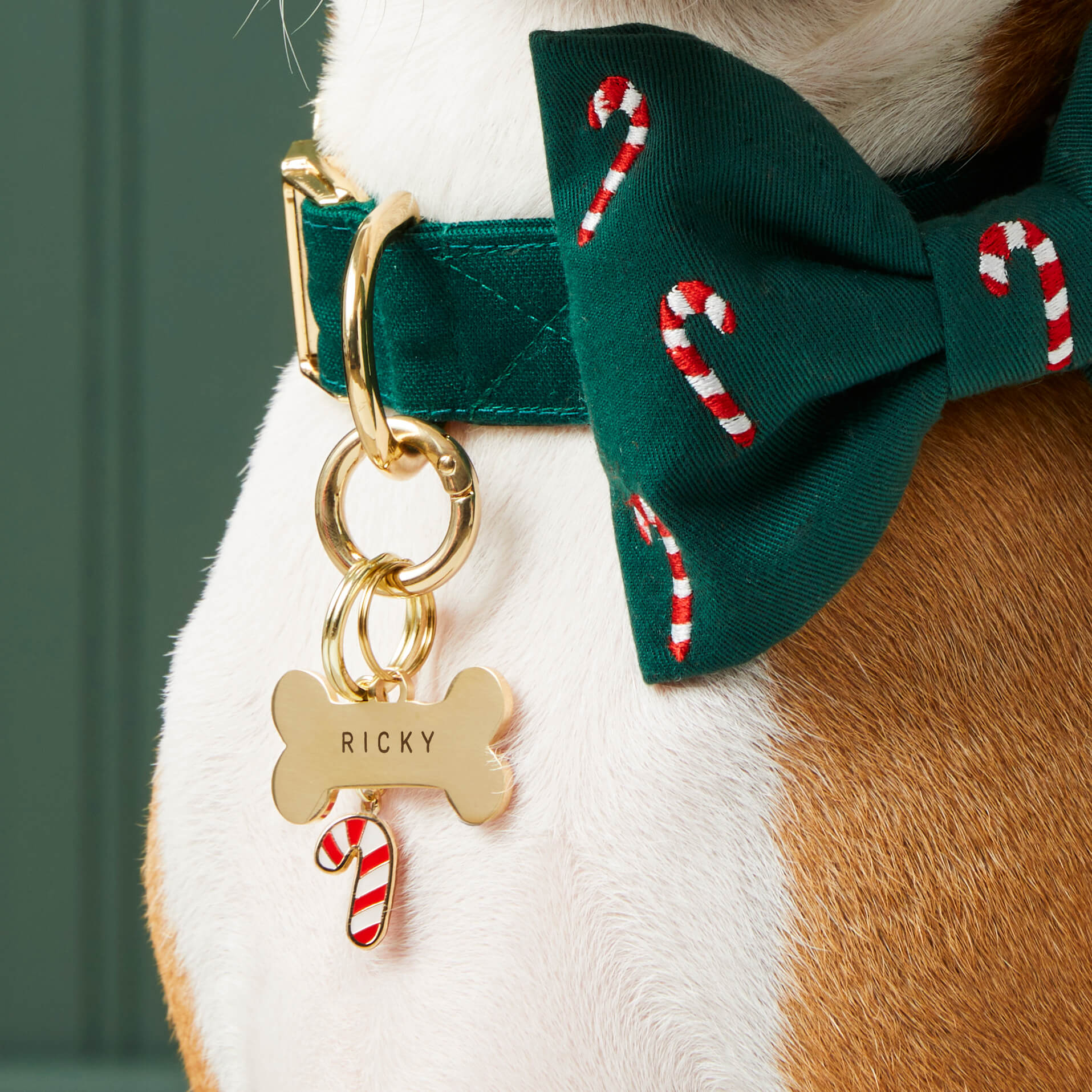 Bone Pet ID Tag