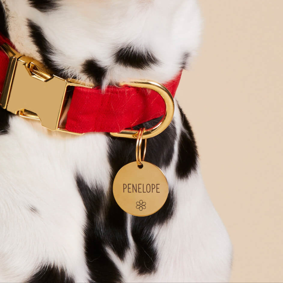 Circle Pet ID Tag: Flower Icon