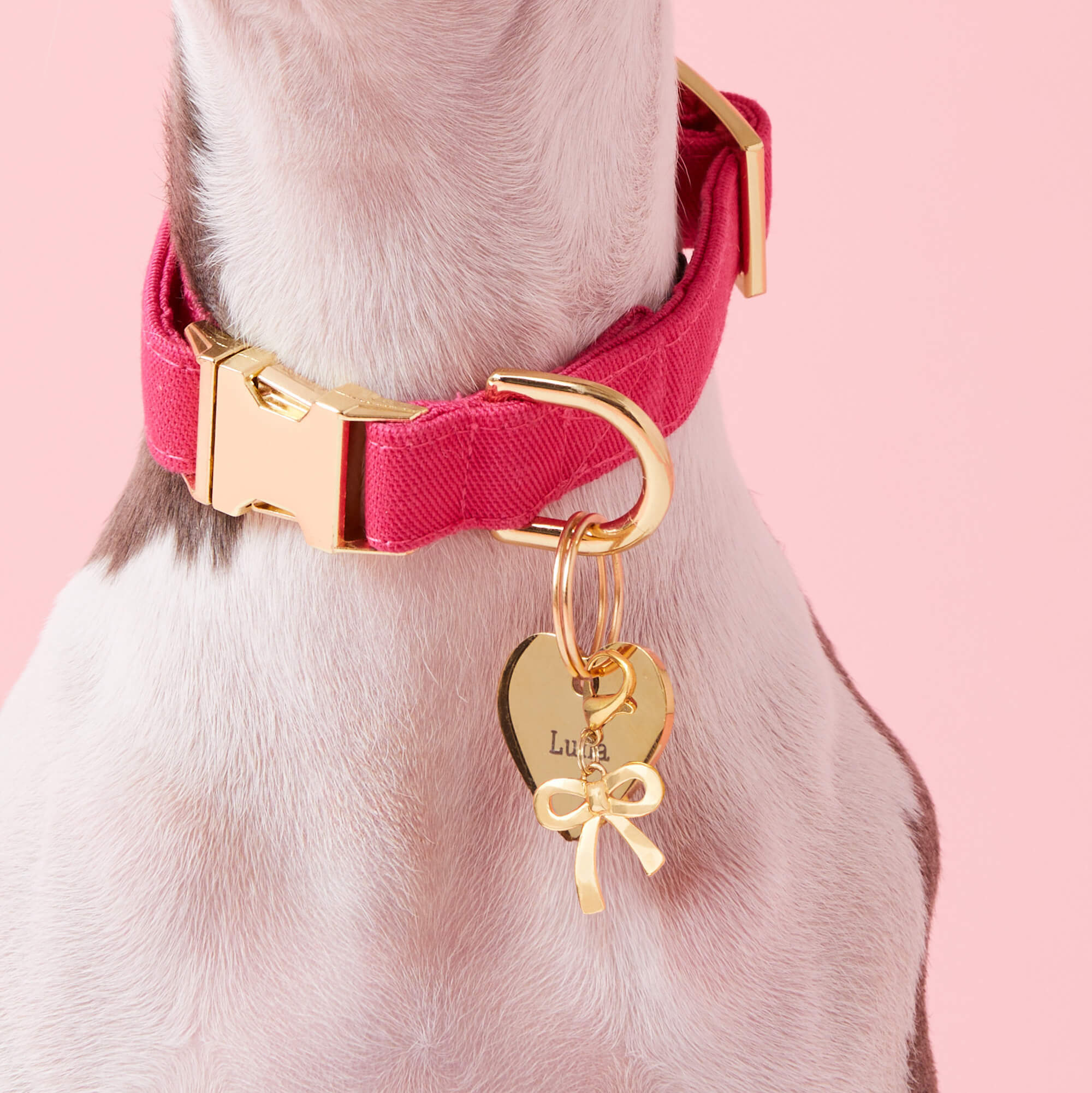Hot Pink Dog Collar