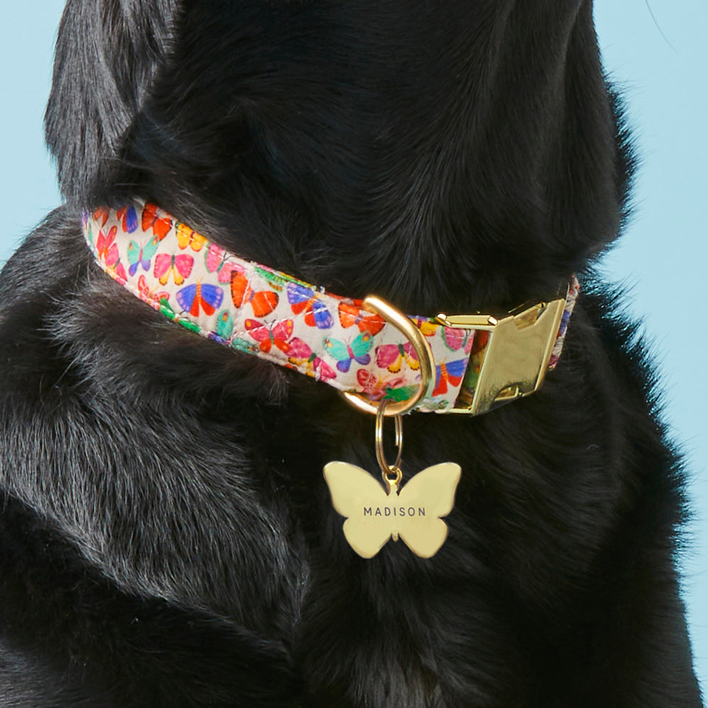 Butterfly Pet ID Tag