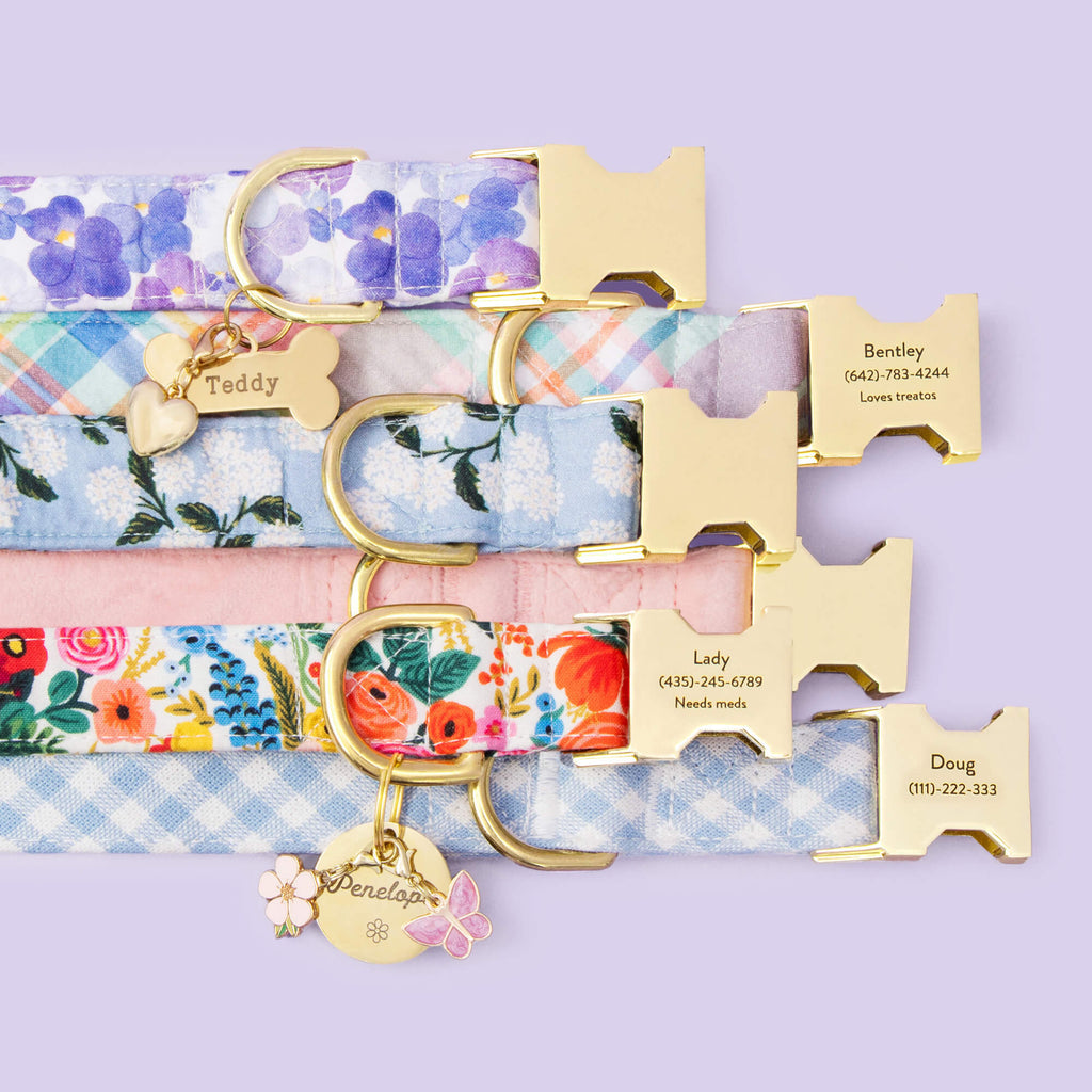 Circle Pet ID Tag: Flower Icon