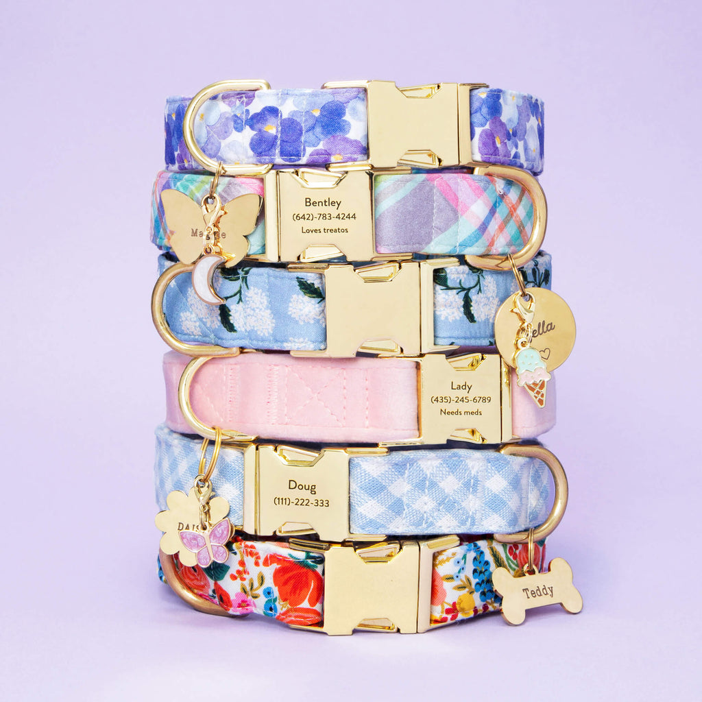 Blush Pink Velvet Dog Collar